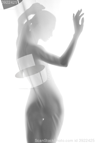 Image of Silhouette of young sexy woman on white background. 