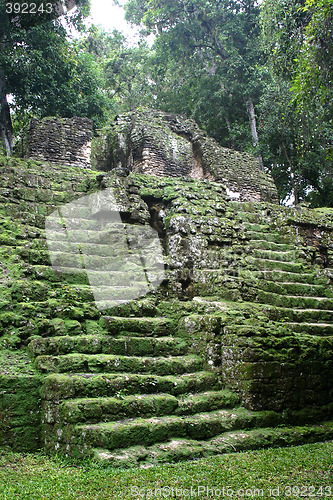 Image of Tropical maya stairs