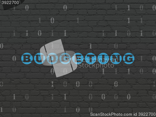 Image of Business concept: Budgeting on wall background