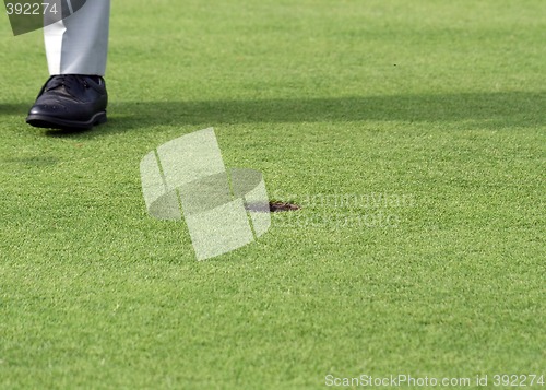 Image of Golf Player on a Green