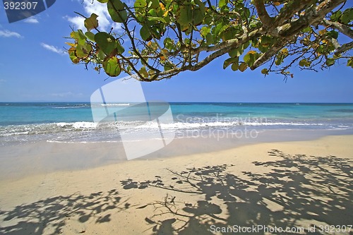 Image of Beach Scene