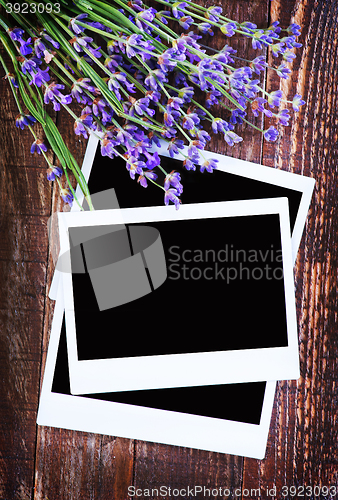 Image of lavender