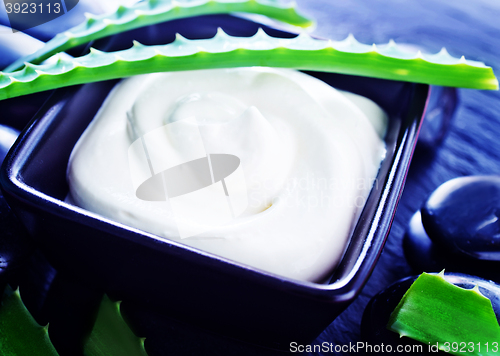 Image of Aloe Vera with Lotion Box