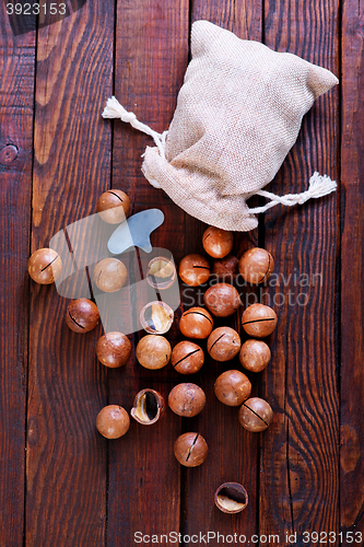 Image of macadamia