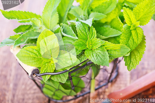 Image of fresh mint