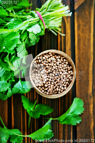 Image of coriander