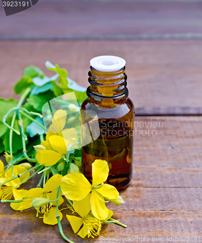 Image of Oil with celandine on board