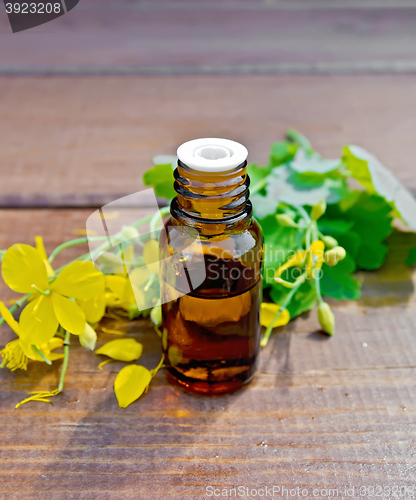 Image of Oil with celandine on dark board