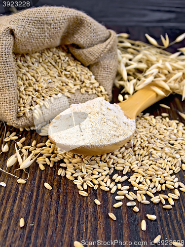 Image of Flour oat in wooden spoon with bag on board