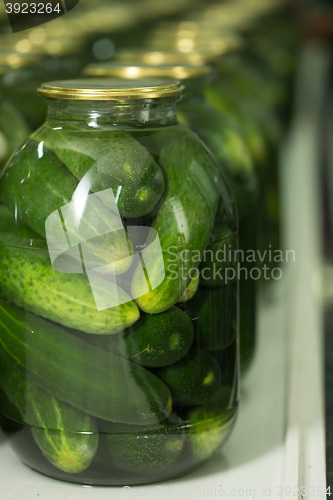 Image of gurtsov conservation. Fresh cucumbers in jars