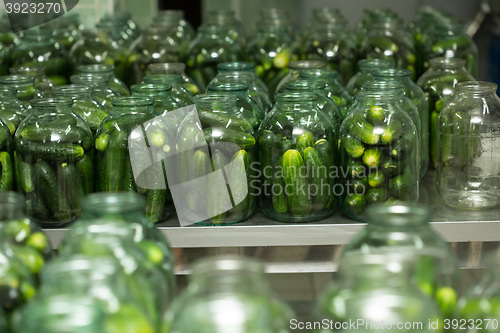 Image of gurtsov conservation. Fresh cucumbers in jars