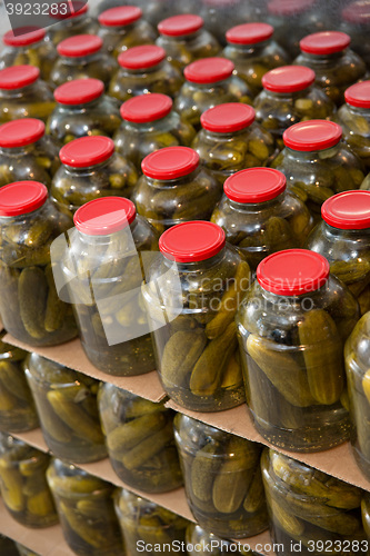 Image of gurtsov conservation. Fresh cucumbers in jars