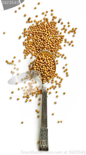 Image of heap of mustard seeds