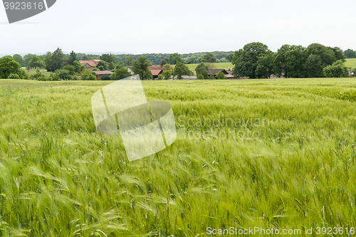 Image of agricultural springtime scenery