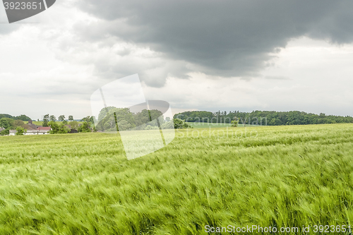 Image of stormy rural  springtime scenery