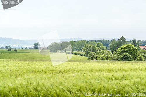Image of agricultural springtime scenery