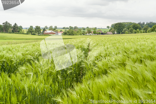 Image of stormy rural  springtime scenery