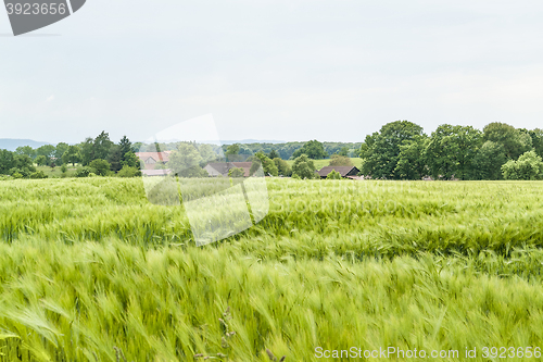 Image of agricultural springtime scenery