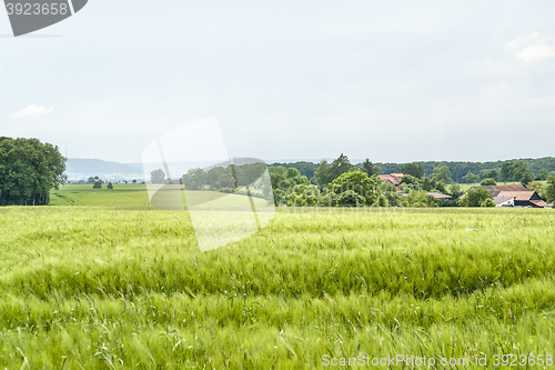 Image of agricultural springtime scenery