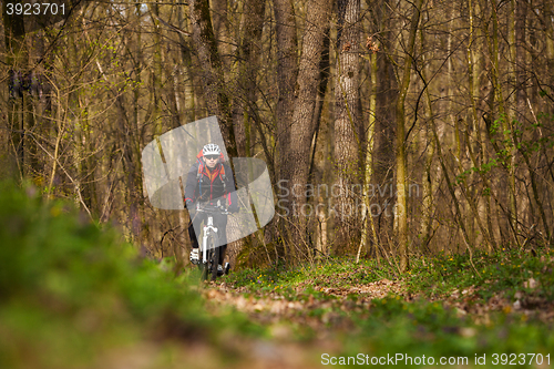 Image of Mountain Bike cyclist riding single track