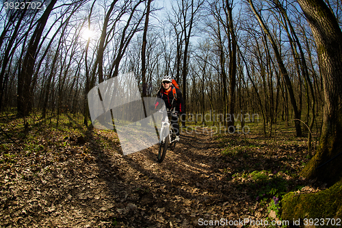 Image of Cyclist Riding the Bike