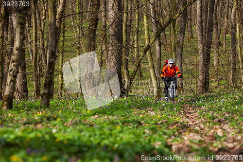 Image of Mountain Bike cyclist riding single track