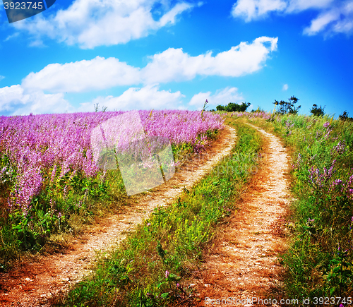 Image of nature in Crimea