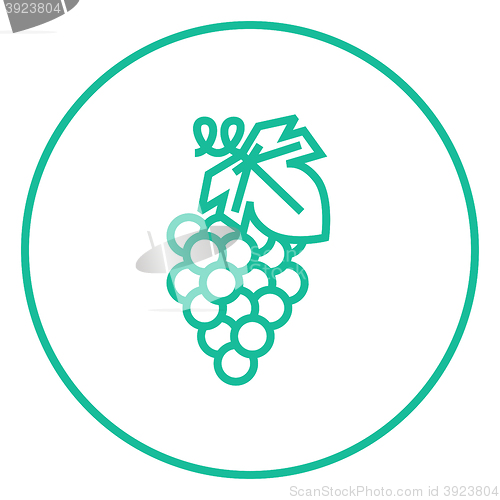 Image of Grape line icon.