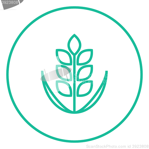 Image of Wheat line icon.