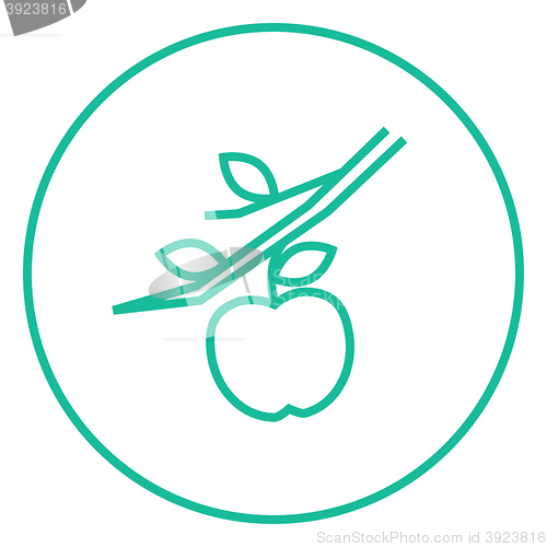 Image of Apple harvest line icon.
