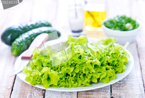 Image of fresh lettuce