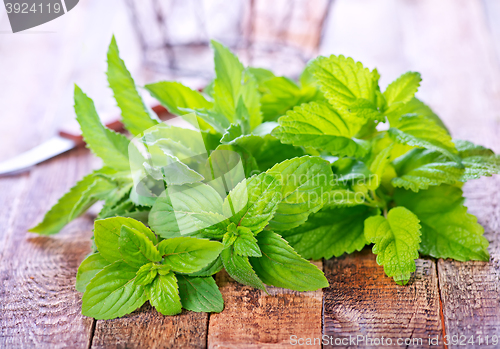 Image of fresh mint