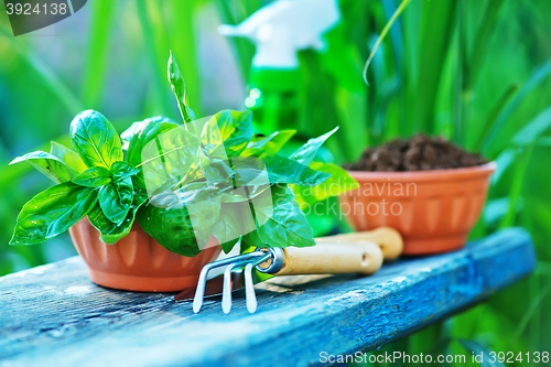 Image of gardening utensil