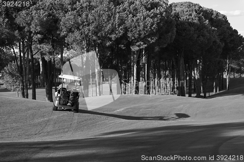 Image of couple in buggy on golf course