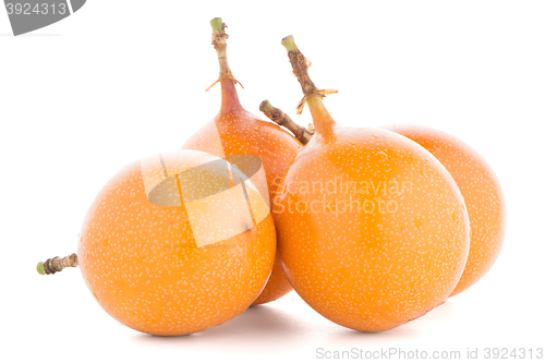 Image of Passion fruit maracuja granadilla