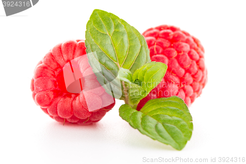 Image of Raspberry fruit isolated