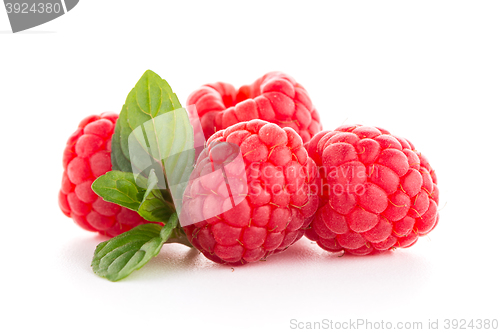 Image of Raspberry fruit isolated