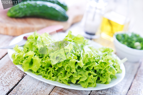 Image of fresh lettuce