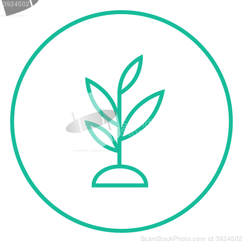 Image of Sprout line icon.