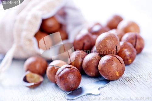 Image of macadamia