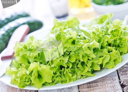 Image of fresh lettuce