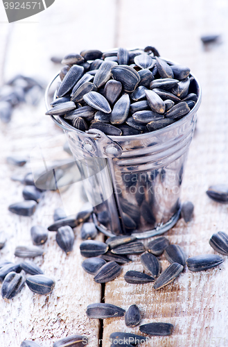 Image of sunflower seed