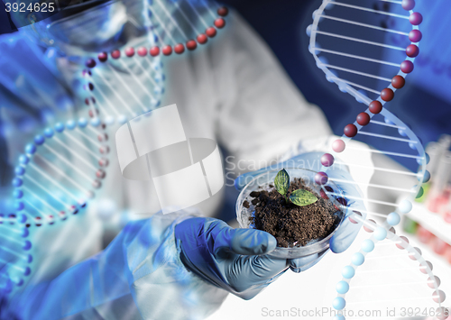 Image of close up of scientist hands with plant and soil