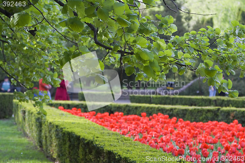 Image of Park abstract