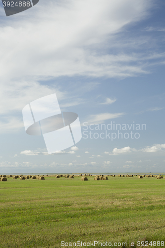 Image of stack of hay lying in a field