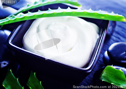 Image of Aloe Vera with Lotion Box