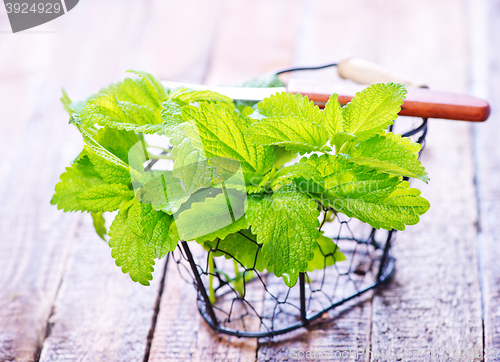 Image of fresh mint