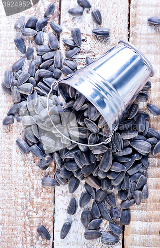 Image of sunflower seed