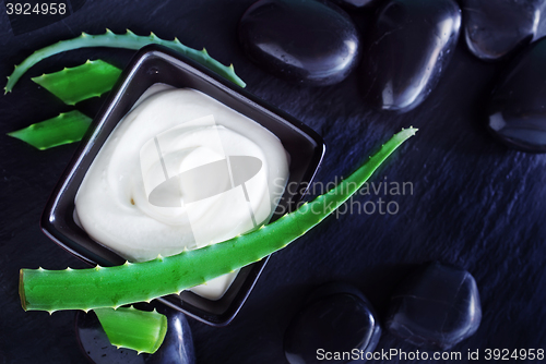 Image of Aloe Vera with Lotion Box