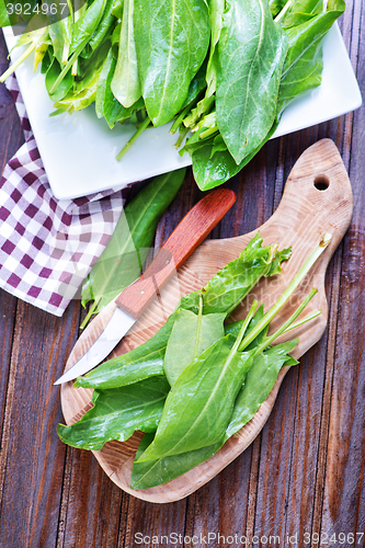 Image of fresh sorrel